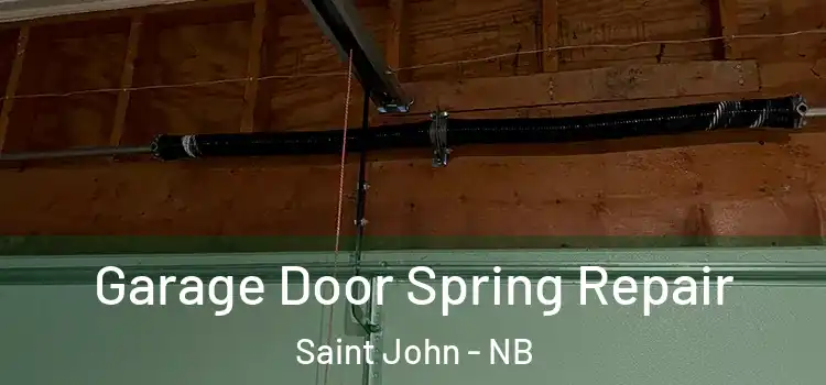  Garage Door Spring Repair Saint John - NB